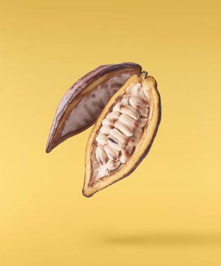 Beyaz arka plan üzerinde izole taze olgunlaşmış hindistancevizi