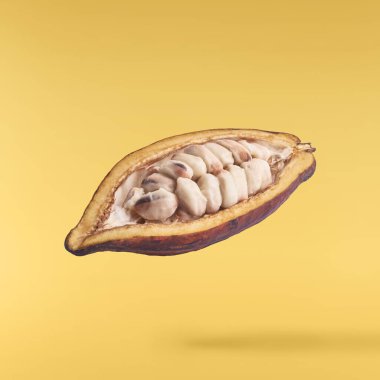 Beyaz arka plan üzerinde izole taze olgunlaşmış hindistancevizi