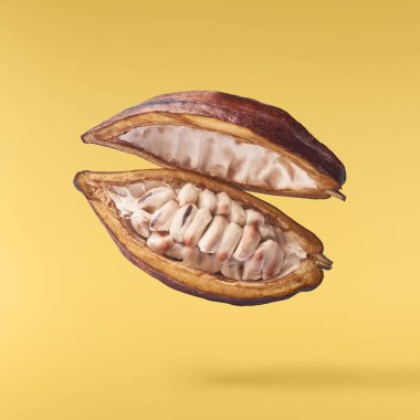 Beyaz arka plan üzerinde izole taze olgunlaşmış hindistancevizi