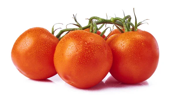 Свежие сырые помидоры на белом фоне — стоковое фото