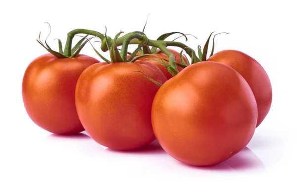 Fresh raw tomatoes isolated on white background — 图库照片