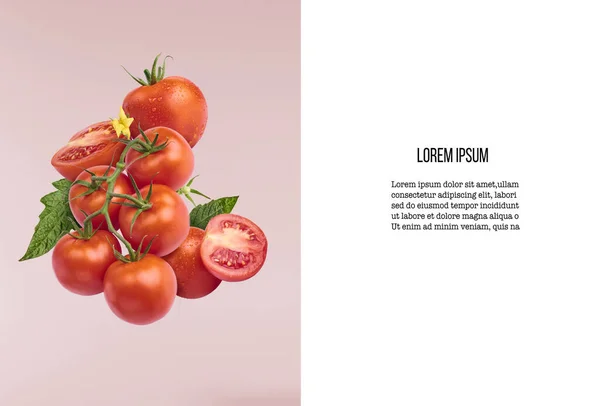 Verse rijpe rode tomaten en groene bladeren vliegen in de lucht — Stockfoto