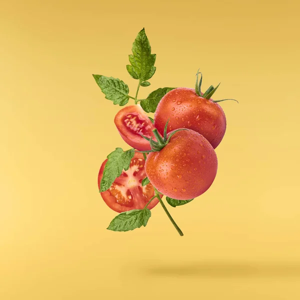 Świeże dojrzałe czerwone pomidory pływające w powietrzu izolowane na żółtym BAC — Zdjęcie stockowe