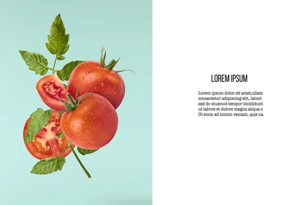 Verse rijpe rode tomaten en groene bladeren vliegen in de lucht — Stockfoto