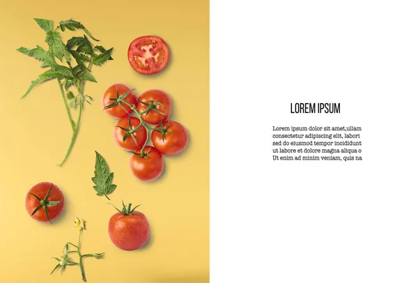 Свежие спелые красные помидоры и зеленые листья, изолированные на белом фоне — стоковое фото