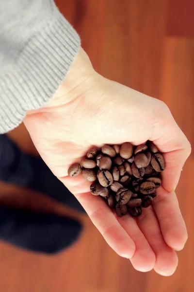 Mulher mãos segurando grãos de café — Fotografia de Stock