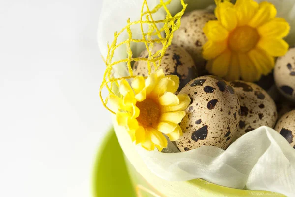 Green easter pot with decorations and flowers — Stock Photo, Image