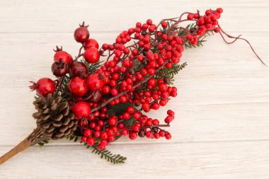 Kırmızı meyve dalları dekorasyon için Noel üzerinde