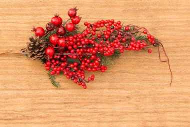 Kırmızı meyve dalları dekorasyon için Noel üzerinde