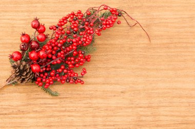 Kırmızı meyve dalları dekorasyon için Noel üzerinde