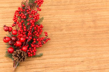 Kırmızı meyve dalları dekorasyon için Noel üzerinde