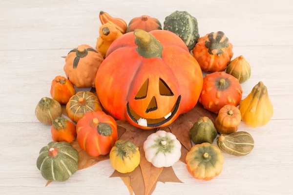 Orange Halloween pumpkin and small pumpkins — Stock Photo, Image