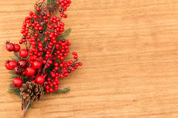 圣诞装饰树枝的红色水果 — 图库照片