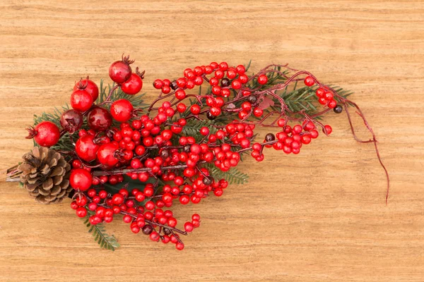 クリスマスの装飾のための枝に赤い果実をつける — ストック写真
