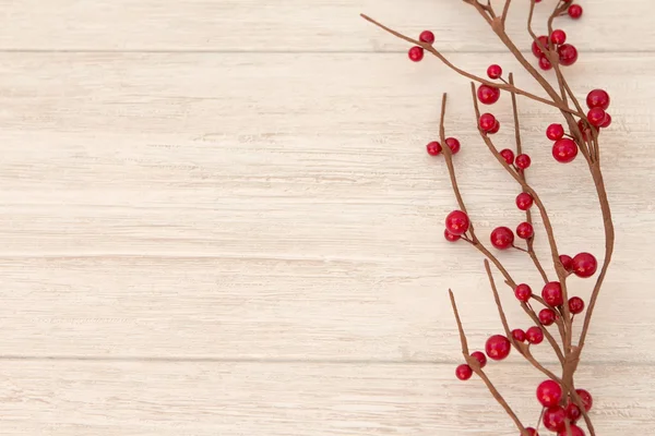 붉은 열매와 함께 크리스마스 분기 — 스톡 사진