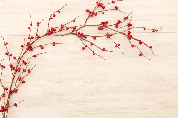 붉은 열매와 함께 크리스마스 분기 — 스톡 사진