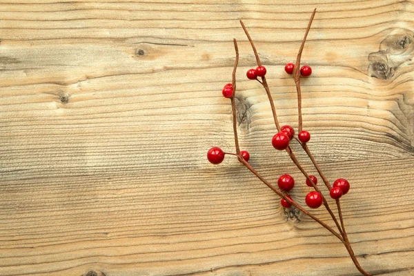Різдвяна гілка з червоними ягодами — стокове фото