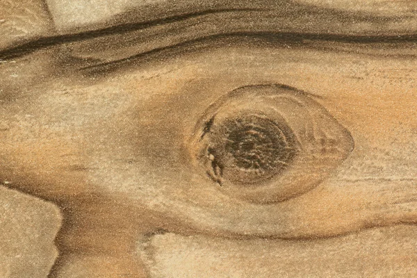 Detalhes de um grão de madeira rústico — Fotografia de Stock