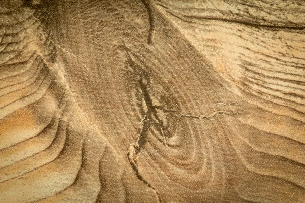 Details of a rustic wood grain — Stock Photo, Image