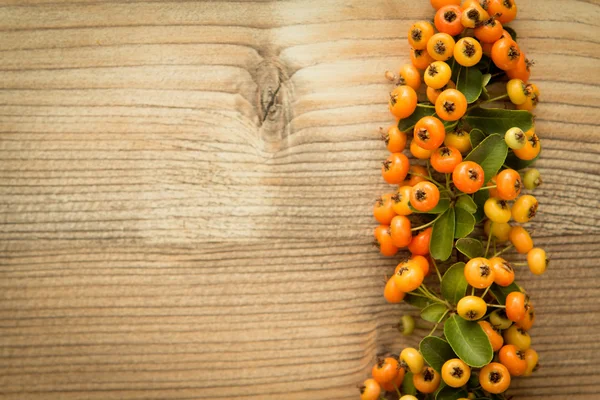 Elementos naturais de outono para decoração — Fotografia de Stock