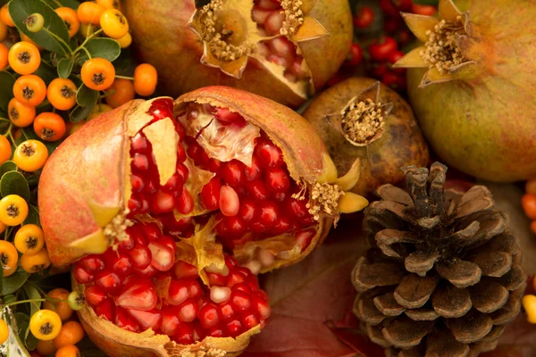 Elementos naturais de outono para decoração — Fotografia de Stock