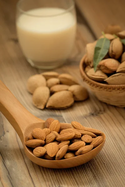 Leche de almendras con almendras alrededor —  Fotos de Stock