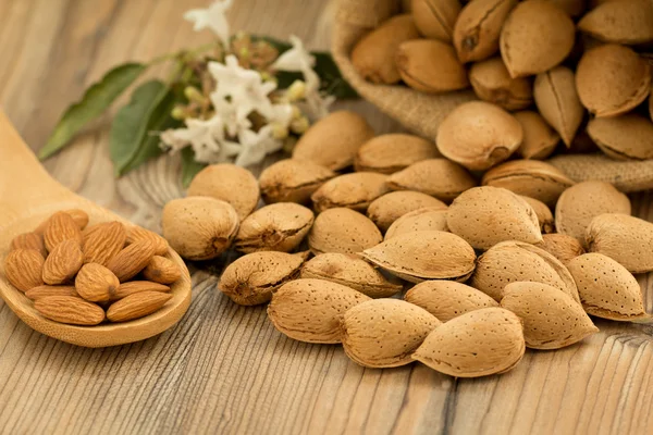 Almond seeds on wooden table — Φωτογραφία Αρχείου