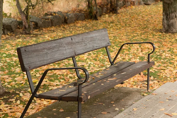 Lone bench in park — Stock Photo, Image