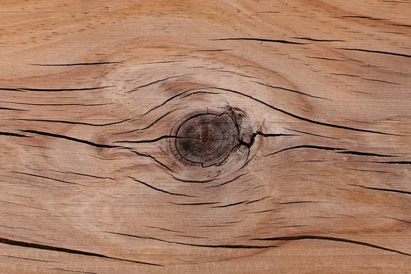 Textura del grano de madera — Foto de Stock