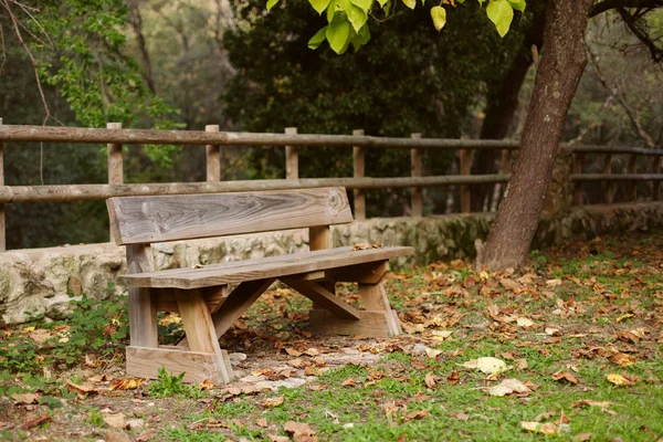 Lone bench in park — Stock Photo, Image