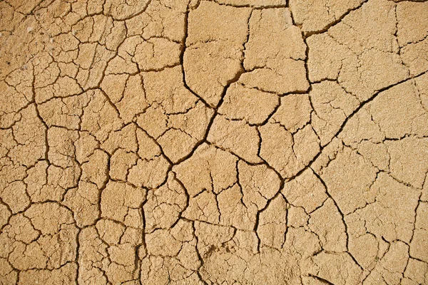 Textura del suelo agrietada — Foto de Stock