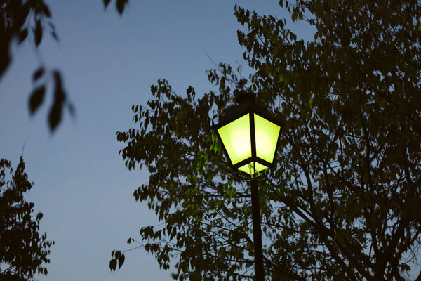 lantern on dark blue sky 