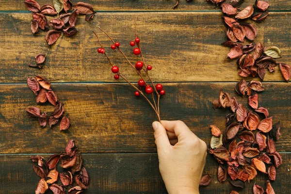 Christmas branch with red berries — Stock Photo, Image