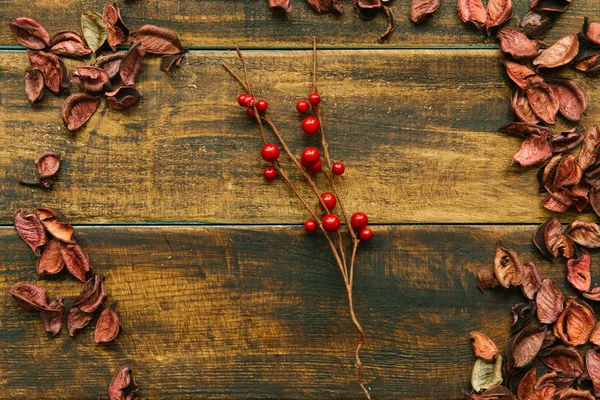 Kırmızı böğürtlenli Noel dalı