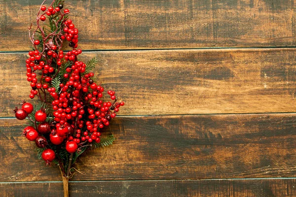 붉은 열매가 달린 크리스마스 가지 — 스톡 사진