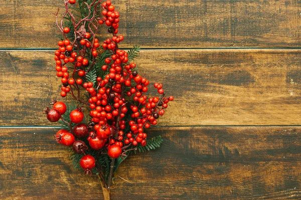 Weihnachtszweig mit roten Beeren — Stockfoto