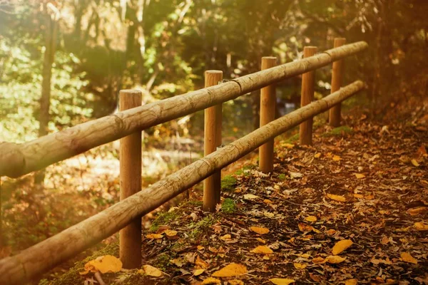 Park günlüklerinde çit — Stok fotoğraf