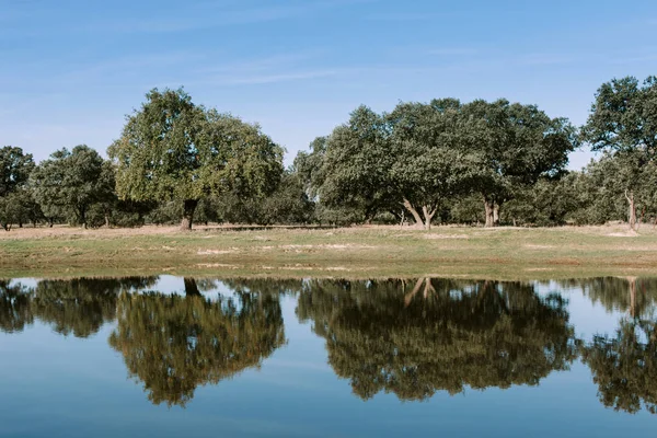 Bela paisagem de banco de rio — Fotografia de Stock