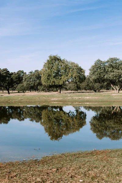 Beautiful scenery of bank of river — Stock Photo, Image