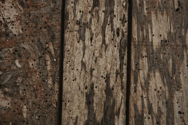 Oud hout gedragen — Stockfoto