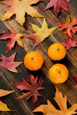 mandalina sonbahar yaprakları ile