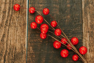 Kırmızı böğürtlenli Noel dalı