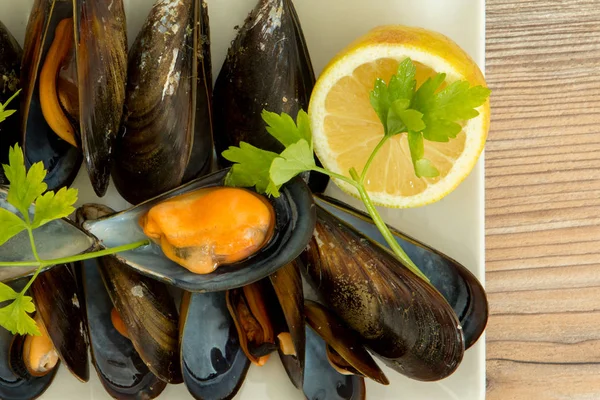 Delicious mussels dish — Stock Photo, Image