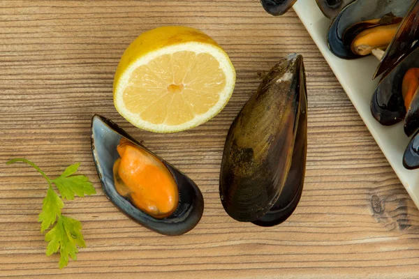 Delicious mussels dish — Stock Photo, Image