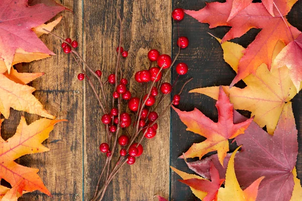 Christmas red berries with autumn leaves — Stock Photo, Image