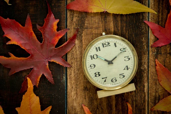 Старий будильник і осіннє листя — стокове фото
