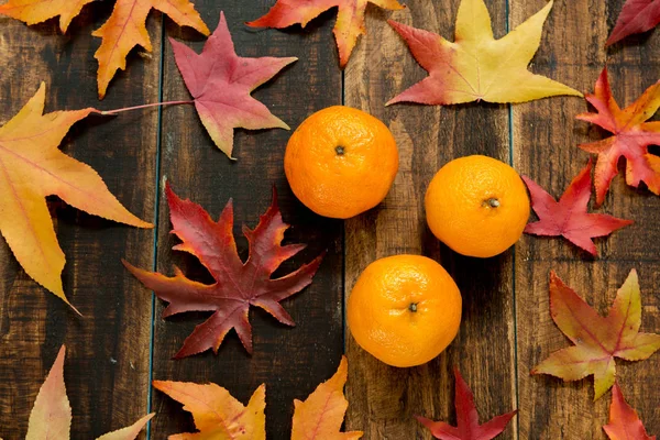 Mandarijnen met Herfstbladeren Rechtenvrije Stockfoto's