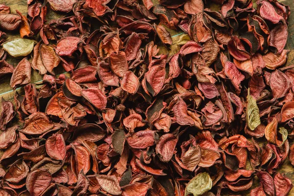 Trockene rote Blütenblätter — Stockfoto