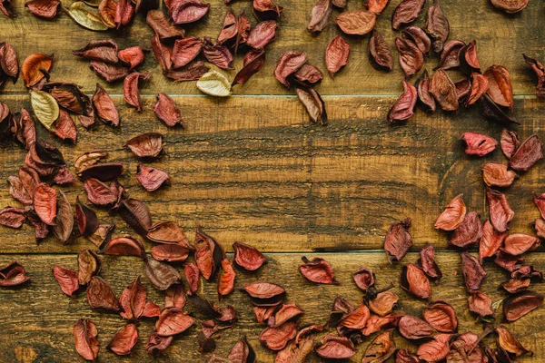 Dry red petals frame — Stock Photo, Image