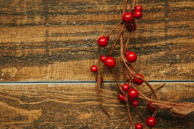 Kırmızı böğürtlenli Noel dalı